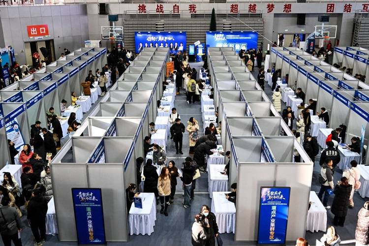 2025年全国人力资源市场就业服务专项行动启动