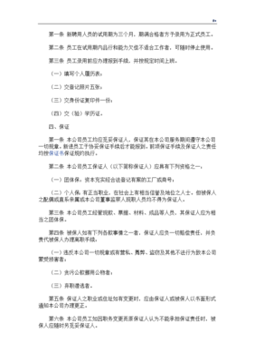 公司的人力资源管理计划制度章程
